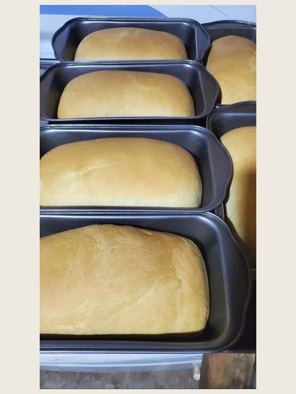 Coconut Bread sold by Mike's Patties