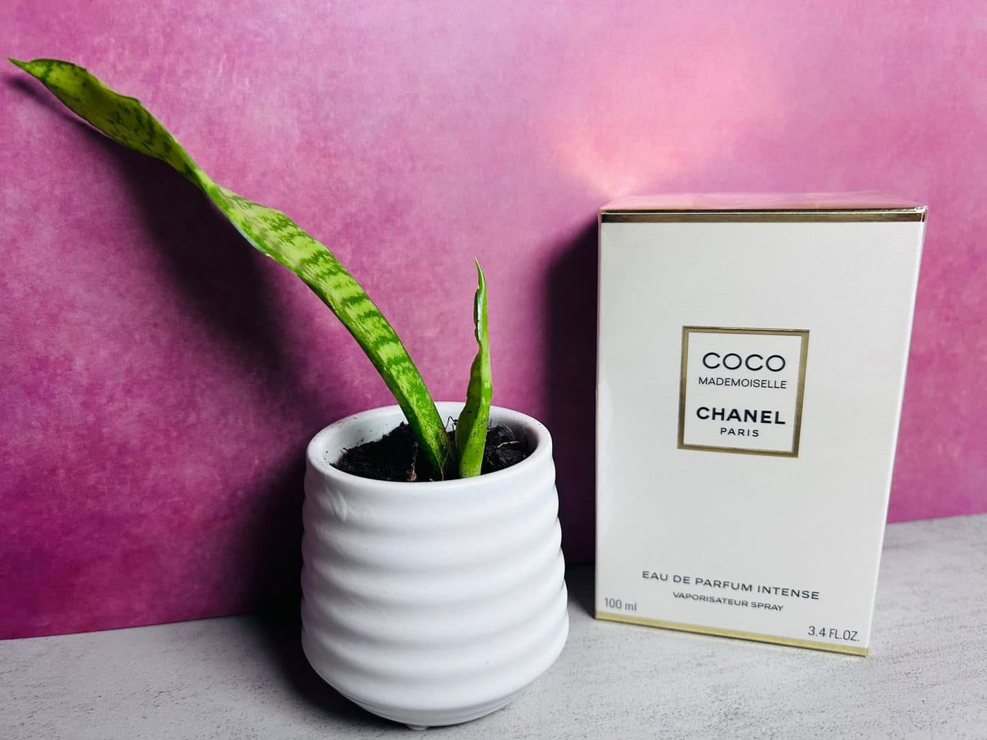 Chanel Coco Mademoiselle Intense Eau de Parfum Intense 100 ml perfume box